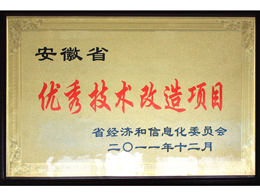 优秀技改项目(Outstanding technology reform program)